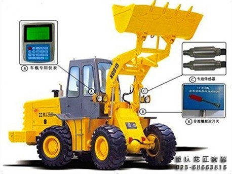 畢節(jié)裝載電子秤